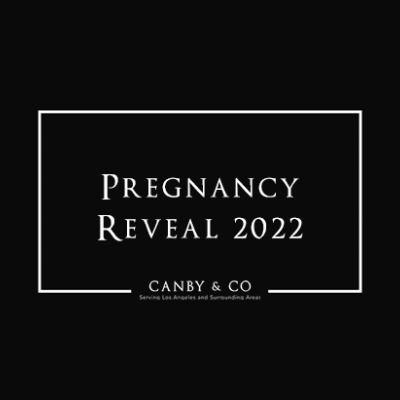 Pregnancy Reveal 2022